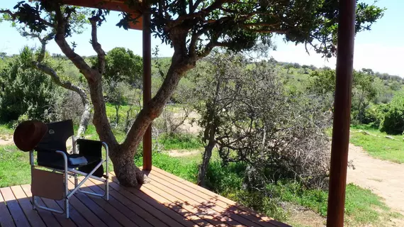 Koffylaagte Game Lodge | Eastern Cape - Ikwezi