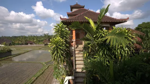 Hibiscus Cottages | Bali - Ubud - Ubud Kent Merkezi