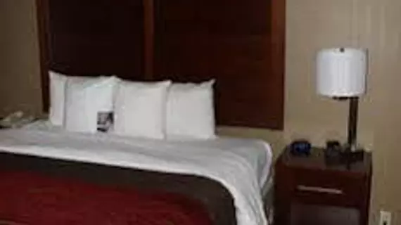 Comfort Inn Central | Kolorado - Denver (ve civarı) - Denver