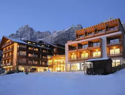 Parkhotel Ladinia | Veneto - Belluno (vilayet) - San Vito di Cadore