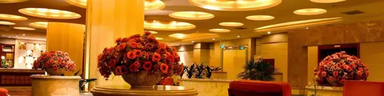 Chengdu Xiangyang Hotel | Sişuan - Chengdu - Shahepu - Jinjiang