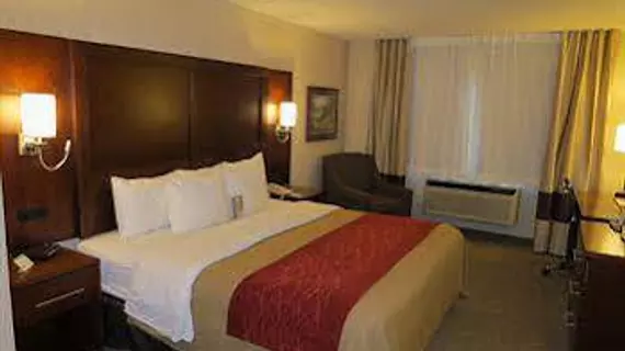 COMFORT INN NORTH - AIR FORCE ACADEMY AREA | Kolorado - Colorado Springs (ve civarı) - Colorado Springs - Pikeview