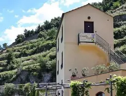 Limoneto Di Ercole | Campania - Salerno (il) - Maiori - Erchie