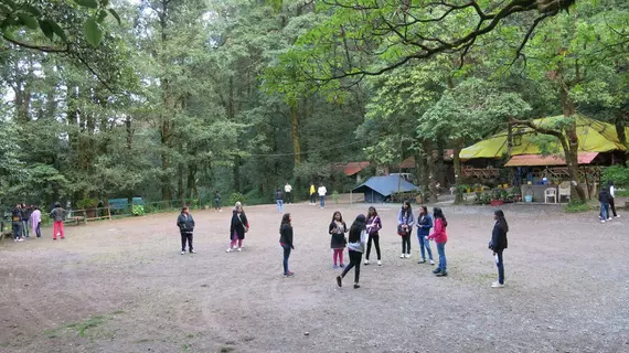 Ayar Jungle Camp | Uttarkand - Haldwani (ve civarı) - Nainital