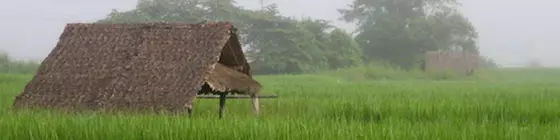 Baan Rabiang Pai | Mae Hong Son İli - Pai