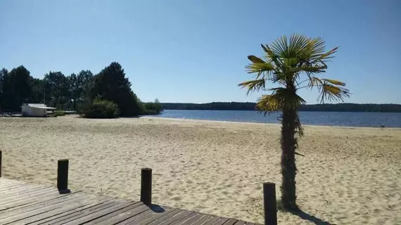 Reve en famille | Nouvelle-Aquitaine - Landes (bölge) - Gastes