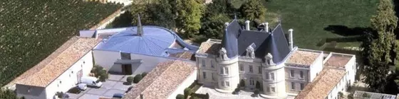 Château de Lussac | Nouvelle-Aquitaine - Gironde (bölge) - Lussac