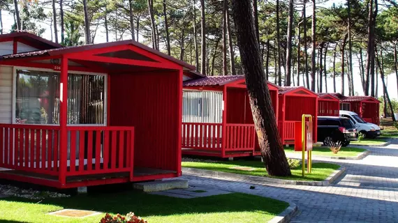 Parque De Campismo Orbitur Sao Pedro De Moel | Centro - Leiria Bölgesi - Marinha Grande