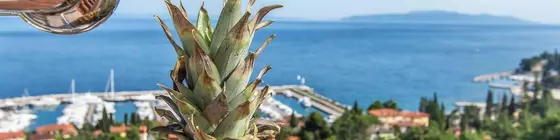 Villa Roses Apartments & Wellness | Primorje-Gorski - Opatija