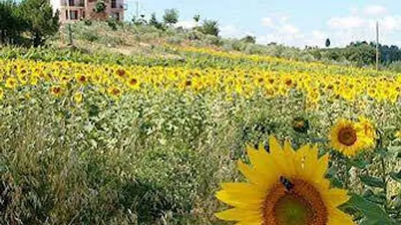 Il Girasole Bed & Breakfast | Toskana - Siena (vilayet) - Montepulciano