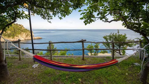 Cannaverde Amalfi Coast Camp | Campania - Salerno (il) - Maiori