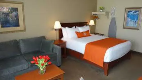 Amsterdam Inn & Suites Moncton | New Brunswick - Moncton (ve civarı) - Moncton