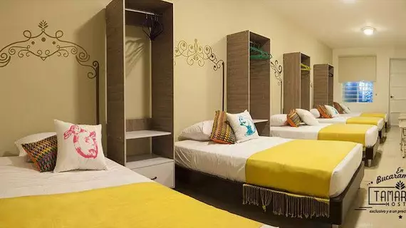 Tamarindo Hostal Bucaramanga | Santander - Bucaramanga (ve civarı) - Bucaramanga