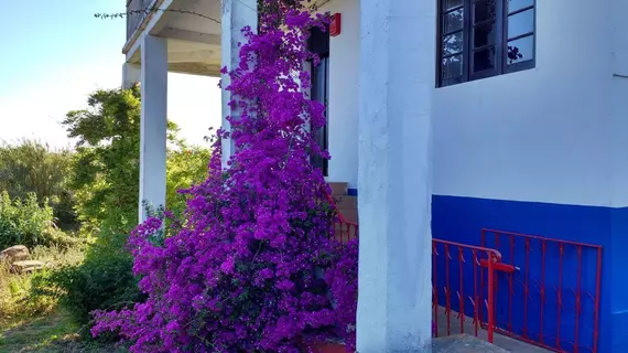 Termas Da Azenha | Centro - Coimbra Bölgesi - Soure