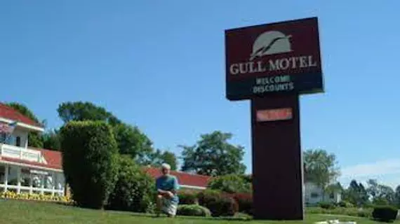 Gull Motel | Maine - Camden (ve civarı) - Belfast