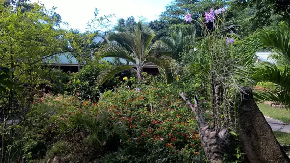 Cocotier du Rocher | Seyşeller - La Digue - La Passe