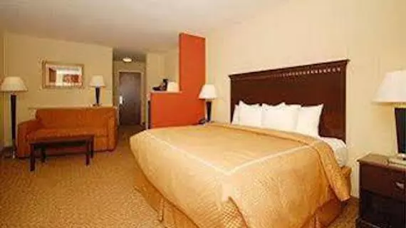 Comfort Suites Cullman | Alabama - Cullman (ve civarı) - Cullman