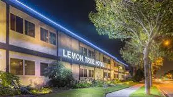 The Lemon Tree Hotel | Kaliforniya - Orange County - Anaheim