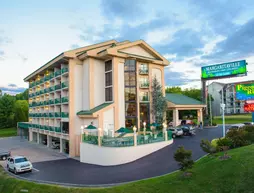 Pigeon River Inn | Tennessee - Gatlinburg - Pigeon Forge (ve civarı) - Pigeon Forge