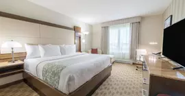 Wyndham Garden Calgary Airport | Alberta - Calgary (ve civarı) - Calgary