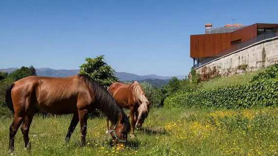 Quinta do Fontelo | Centro - Viseu Bölgesi - Vouzela