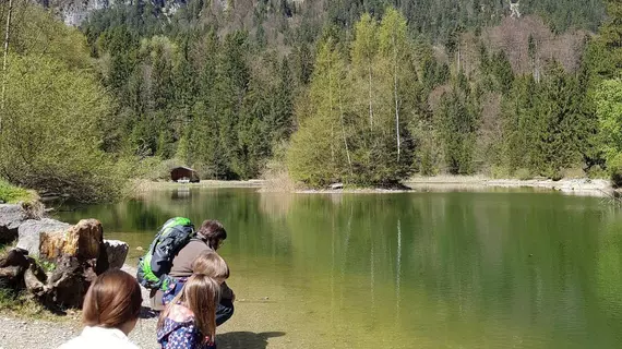 Hotel Rheinischer Hof | Bavyera - Garmisch-Partenkirchen