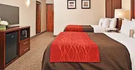 Comfort Inn & Suites Denver | Kolorado - Denver (ve civarı) - Denver - Northeast Park Hill