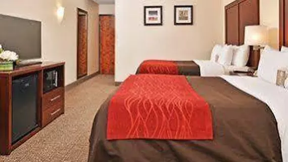 Comfort Inn & Suites Denver | Kolorado - Denver (ve civarı) - Denver - Northeast Park Hill