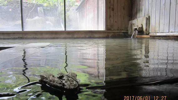 Ryokan Fujiya | Gifu (idari bölge) - Takayama - Hitoegane