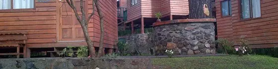 Cabañas Monte Alto | Mexico, Estado de - Toluca (ve civarı) - Valle de Bravo