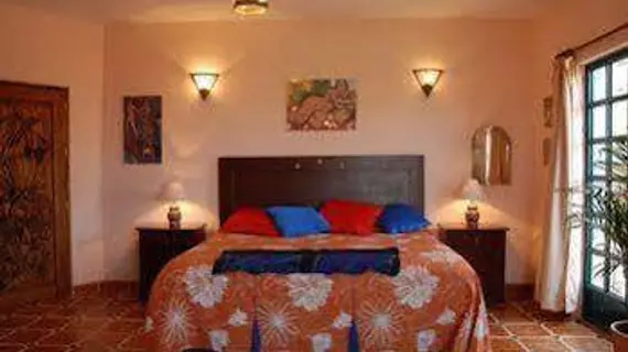 Casa Frida B&B | Guanajuato - San Miguel de Allende