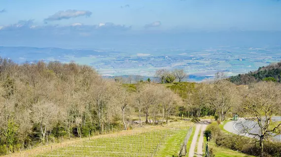 Agriturismo Le Ragnaie | Toskana - Siena (vilayet) - Montalcino