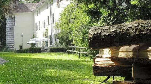 Schloss Ernegg | Lower Austria (Aşağı Avusturya) - Steinakirchen am Forst