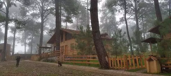 Cabanas Los Abuelos | Jalisco - Guadalajara (ve civarı) - Mazamitla