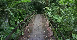 Chachagua Rainforest Eco Lodge | Alajuela (ili) - San Carlos (kantonu) - El Castillo - Chachagua