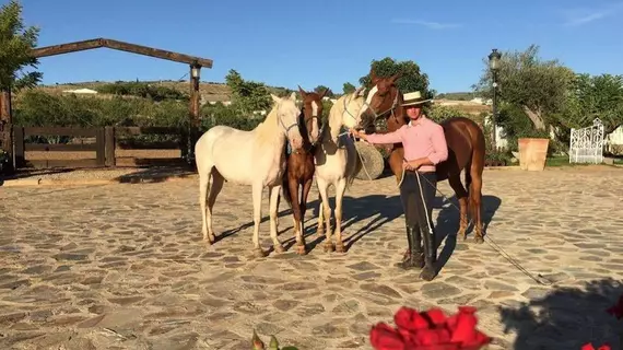 Finca La Herencia | Andalucia - Seville İli - Guadalcanal