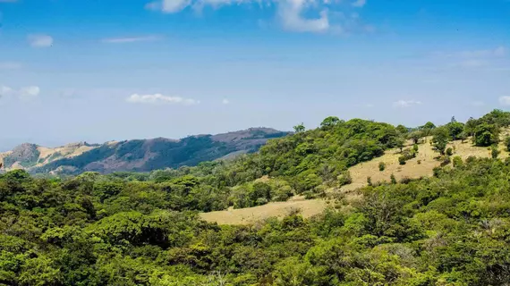 Hotel Cipreses | Puntarenas (ili) - Monteverde