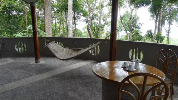 Atremaru Jungle Retreat | Mimaropa - Palawan - Puerto Princesa