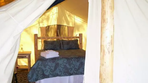 Oakwood Escape - Campsite | Ontario - Niagara Regional Belediyesi - Hamilton (ve civarı) - Dunnville