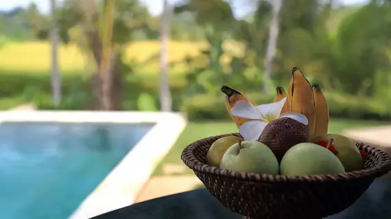 Samkhya Villas | Bali - Ubud - Kedewatan