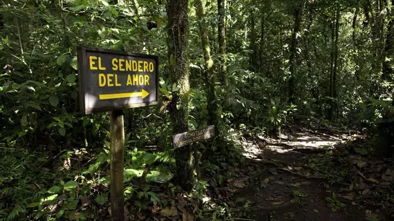 Wagelia Espino Blanco Lodge | Cartago (ili) - Santa Rosa