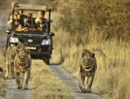 Morokolo Game Lodge | Kuzeybatı (il) - Pilanesberg Ulusal Parkı