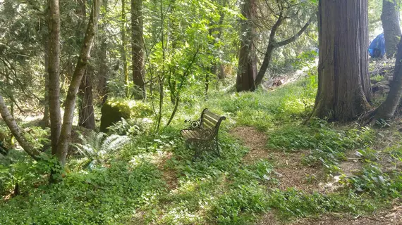 Scott Creek Farm | Oregon - Portland (ve civarı) - Happy Vadisi