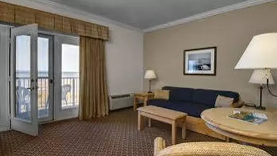 Cherry Tree Inn and Suites | Michigan - Leelandau County - Traverse City (ve civarı) - Traverse City