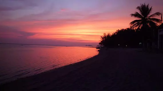 Sea Love Bungalows | Surat Thani (vilayet) - Koh Phangan