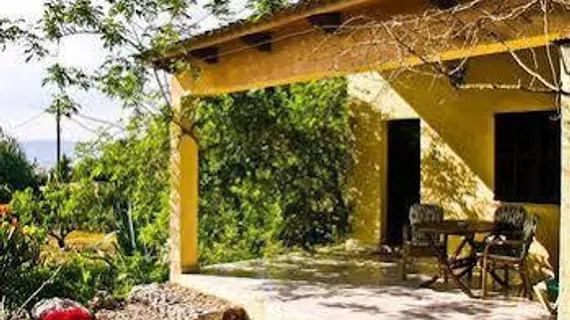 Finca Predio Son Serra | Balearic Adaları - Mayorka Adası - Pla de Mallorca