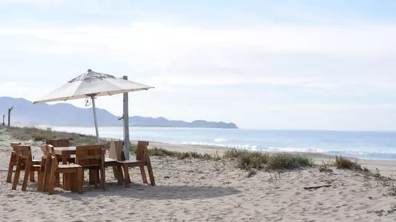 Tortugas Cerritos Beachfront Hotel | Baja California Sur - Todos Santos (ve civarı) - El Pescadero