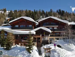 Chalet-hotel les Rhododendrons | Auvergne-Rhone-Alpes - Savoie (bölge) - La Plagne-Tarentaise - Macot-la-Plagne