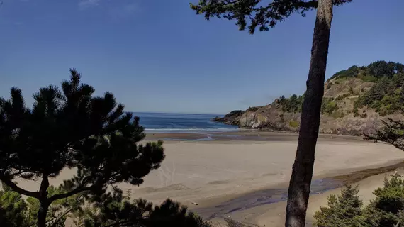 Starfish Point | Oregon - Oregon Coast - Newport - Agate Beach