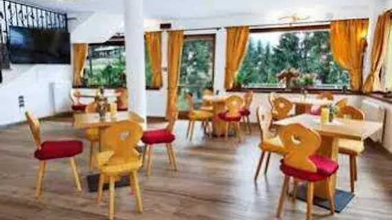 Hotel Erika | Trentino-Alto Adige - Trento İli - Madonna di Campiglio